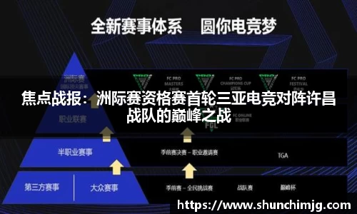 MK体育国际