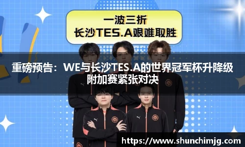 MK体育在线官网